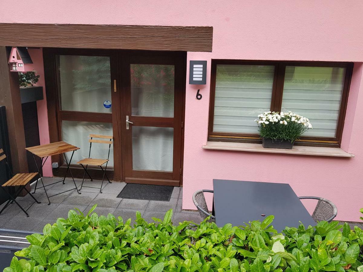 Gite Delphine Kaysersberg-Vignoble Exterior photo